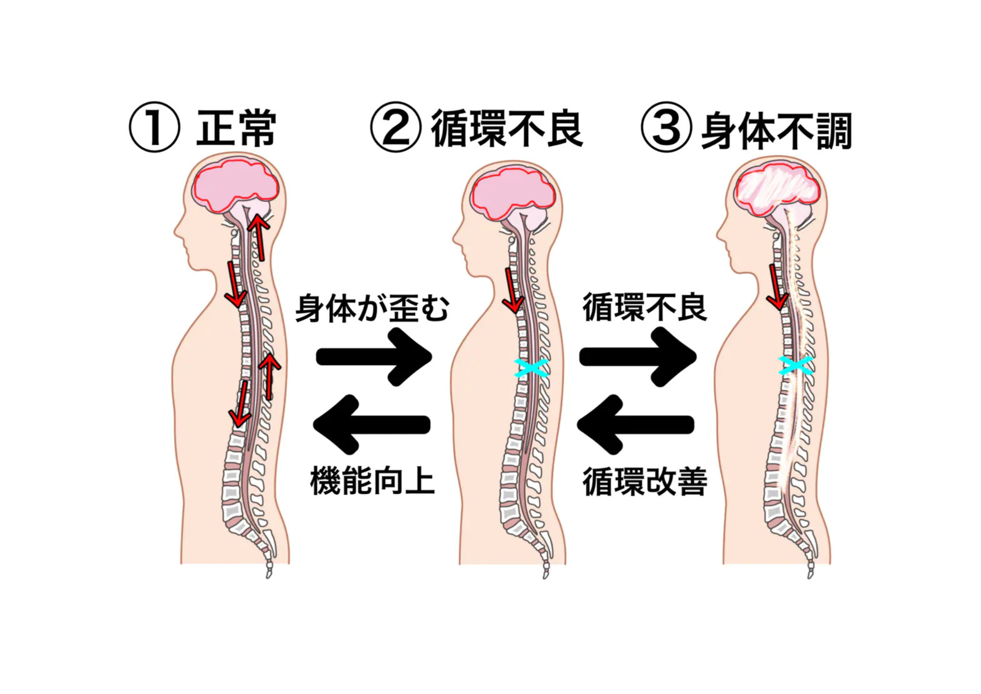 ダウンロード (9)